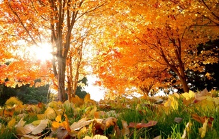 30-октябрь күнги ҳаўа райы ҳаққындағы мағлыўмат