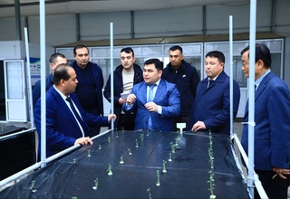Samarqandda kartoshka urug'chiligi yangi bosqichga chiqmoqda