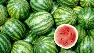 Tarvuzdan zaharlanish: undan qanday himoyalanish mumkin?