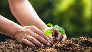 Успешный опыт дружественных государств - незаменимое подспорье