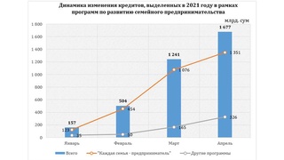Кредиты, выделенные в рамках программ развития семейного предпринимательства в 2021 году