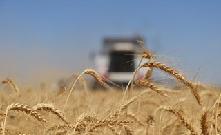 Озиқ-овқат ва қишлоқ хўжалиги соҳасида халқаро марказ ташкил этилди