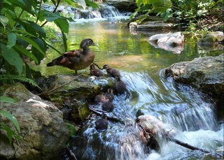 Пешгӯии обу ҳаво барои 19 июл