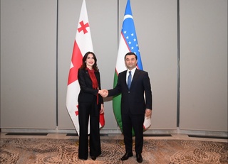 СІМ басшысы Грузияның Сыртқы істер министрімен кездесті