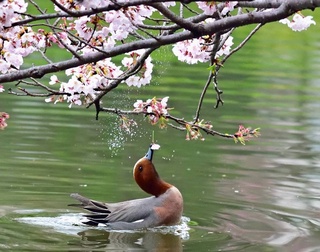 Прогноз погоды на 27 марта