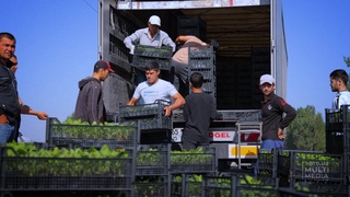 The Ministry of Agriculture provided seedlings of agricultural crops and mini agrotechnics to the population affected during the disaster on Sardoba