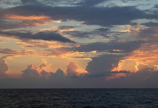 Глобал исишга қарши курашишнинг самарали усули топилди