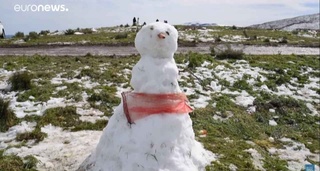 Африкаликлар қор ўйинини бошлаб юборишди