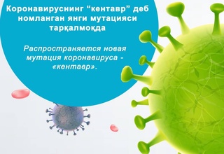 В мире распространяется новая мутация коронавируса - «кентавр»