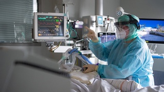 Дунёда коронавирусдан ўлим кўрсаткичи 66 фоизга камайди