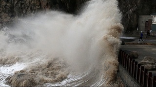 Японияда тўфон туфайли 120га яқин аиарейслар бекор қилинган