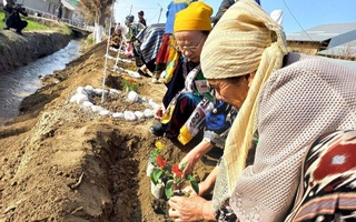 Приумножая красоту улиц и дворов