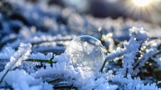 17 март, чоршанба куни қандай об-ҳаво кузатилишини эълон қилинди