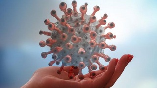 Вирусологи назвали главную «хитрость» коронавируса