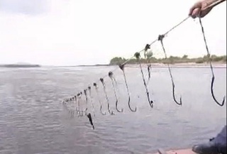 Балиқ овлаш қоидаларини бузганлиги учун 5 575 000 сўм жарима тўлайдиган бўлди