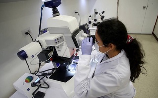 Атеросклерознинг тез ривожланиши оғиз ва ичакдаги бактериялар билан боғлиқ – олимлар