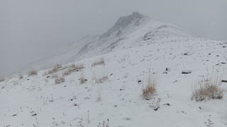 Qashqadaryo togʻlariga qor yogʻdi