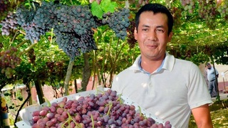 Пскентский район: открытая площадка для инвестиций и новых идей