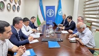 ФАО и Узбекистан усиливают сотрудничество в углублении земельных реформ