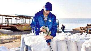 Цисты артемии Арала