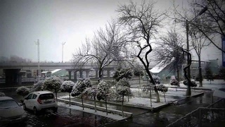 Дам олиш кунлари қандай об-ҳаво кутилади?