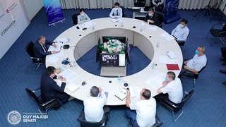 Состоялось заседание Комитета Сената по вопросам молодежи, культуры и спорта