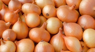 Uzbekistan may become one of the five largest onion exporters in the world at the end of the season