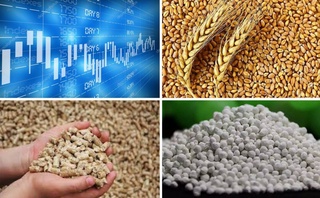 На Узбекской республиканской товарно-сырьевой бирже снизились цены на пшеницу, шрот и аммофос