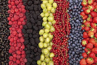 За шесть месяцев в Узбекистане выращено более 1,1 млн тонн плодов и ягод