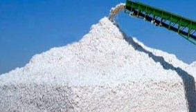 Пахта қабул қилишдаги низоли ҳолатлар адолатли ҳал этиляптими?