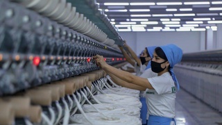 Современная модель кооперации: содействие выходу сельхозпроизводителей на новый уровень