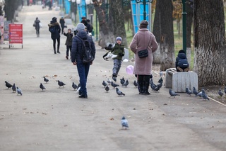 Dam olish kunlari bizni qanday ob-havo kutmoqda?
