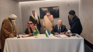 «Орталық Азия-Парсы шығанағы араб мемлекеттері  ынтымақтастық кеңесі» форматындағы консультативтік кездесу өтті