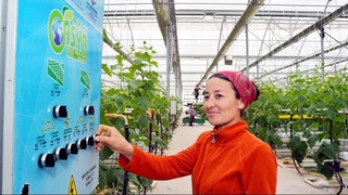 Жилищно-коммунальная сфера: пути решения вопросов