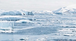 Антарктидадаги ўртача ҳарорат ҳозир доимги кўрсаткичдан 35 даража юқориламоқда