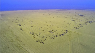  «ЎзАвто» Жиззах чўлларида 100 минг туп дарахтдан иборат ўрмон паркини барпо этмоқда