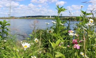 Weather forecast for September 11