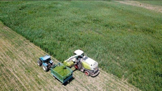 “Мўйноқ келажаги бунёдкорлари” қандай ютуқларга эришмоқда?