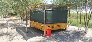 Қорақалпоғистон республикаси ўрмон хўжалиги сайёхларни жалб этадиган масканга айлдантирилмоқда