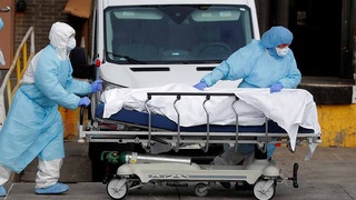 Коронавирусдан вафот этганларнинг аксарияти 40-70 ёш оралиғидаги фуқаролардир