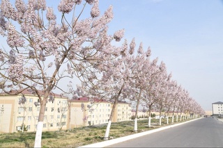 Aprel oyida qanday ob-havo kutilmoqda?