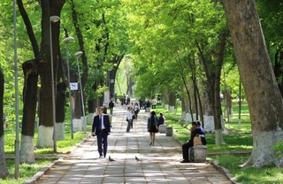 Прогноз погоды на день 25 апреля