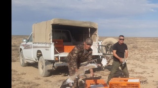 Noyob qushlar «Borsakelmes» hududiga qo'yib yuborildi