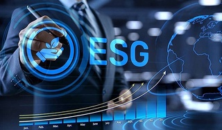 «Узбекнефтегаз» планирует получить рейтинг устойчивого развития (ESG)