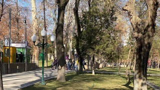 Пешгӯии обу ҳаво барои 20 феврал