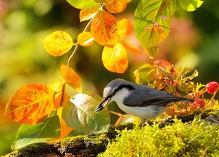 Прогноз погоды на 7 сентября