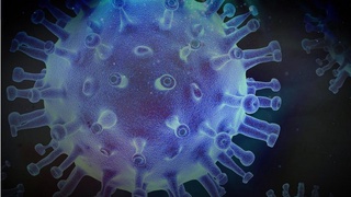 Коронавирус “дельта” штаммининг янги белгилари