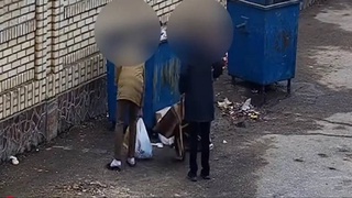 В 2024 году в трех регионах республики камеры видеонаблюдения зафиксировали более трех тысяч нарушений