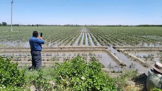 Вобкент туманида қишлоқ хўжалигини рақамлаштириш тизими жорий этилди