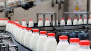 Самарқандда Нидерландия компанияси сармояси кўмагида сутни қайта ишлаш заводи қурилади